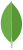MongoDB